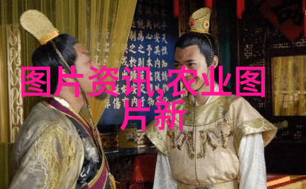 云南中药材种植-翠绿平原上的药用宝藏云南中药材种植的发展与挑战