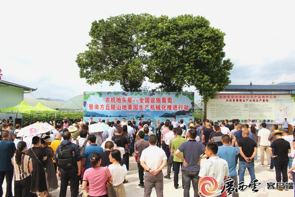 轻松开花的园艺乐趣最容易种的盆栽水果指南