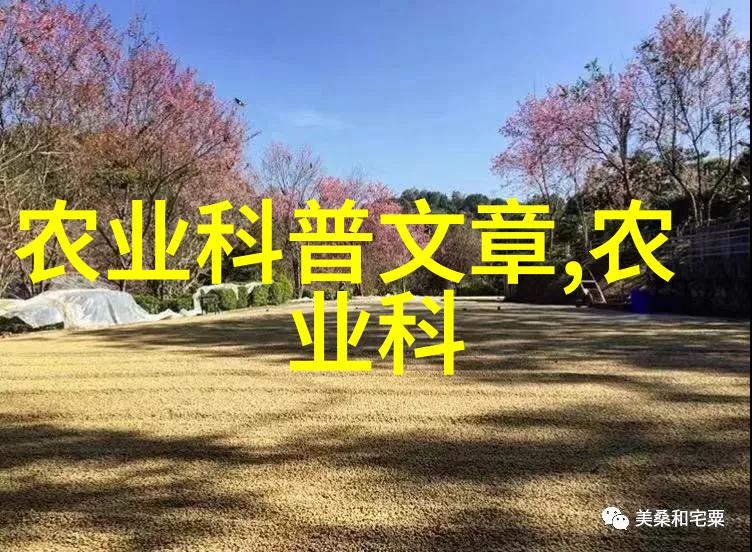 超级巨星我是一个超大号的tt