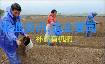蔬菜百科全书探索绿意盎然的食材世界