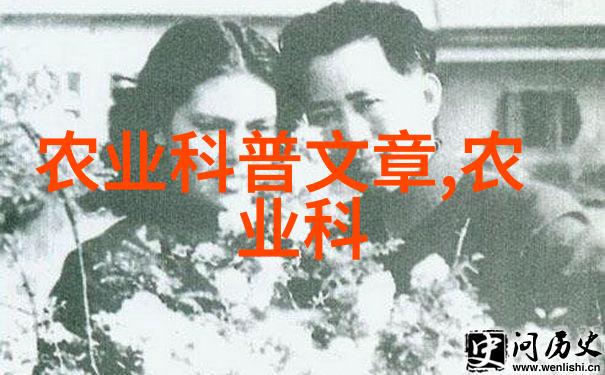 探秘地下蜂宫地洞养蜂技术的奇妙与挑战
