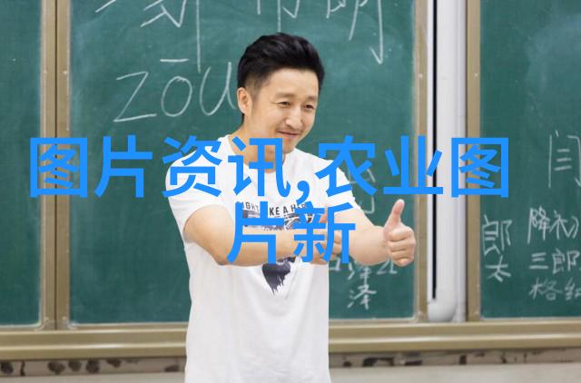 蔬菜网健康生活的绿色选择