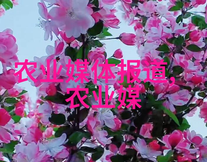 玉米秸秆打包机对环境保护有哪些积极作用