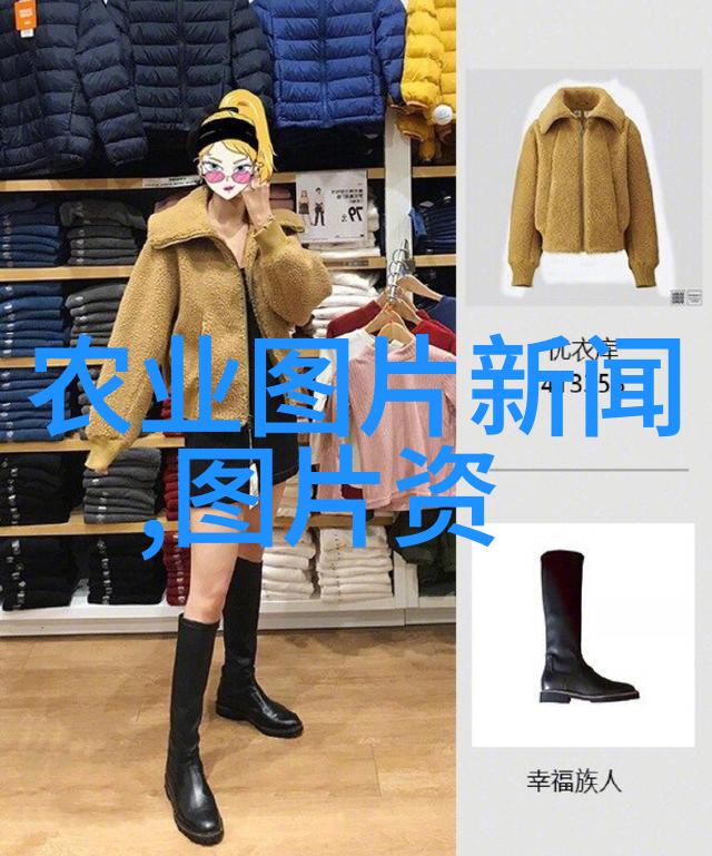 屋顶上的健身房那些适合室内种植且具有保健作用的植物有哪些
