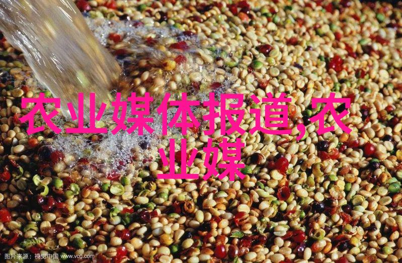 二师兄的迷雾