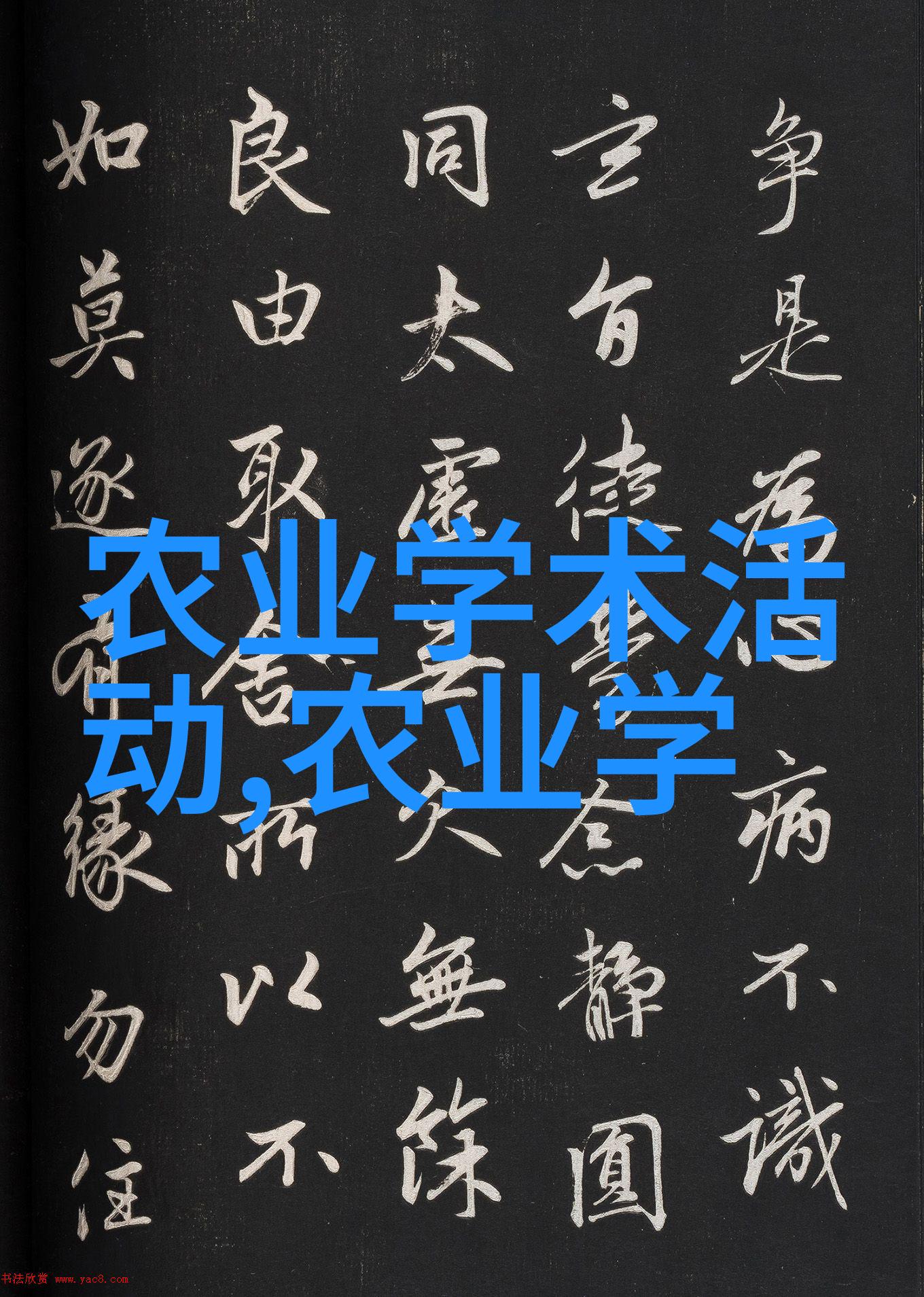 我的人间烟火城市生活的温馨片段