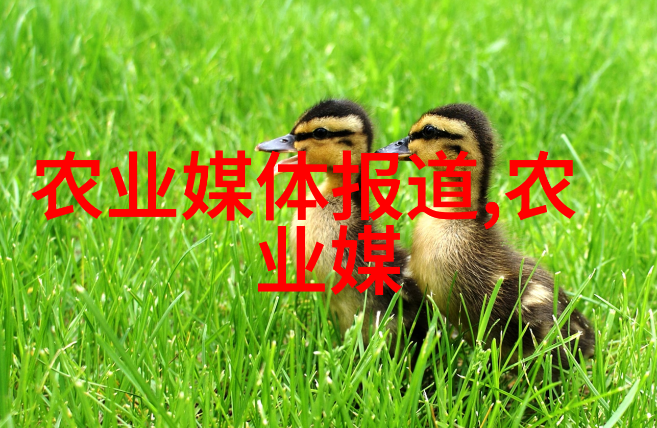 职场奇遇附近招聘信息大揭秘快来找工作吧