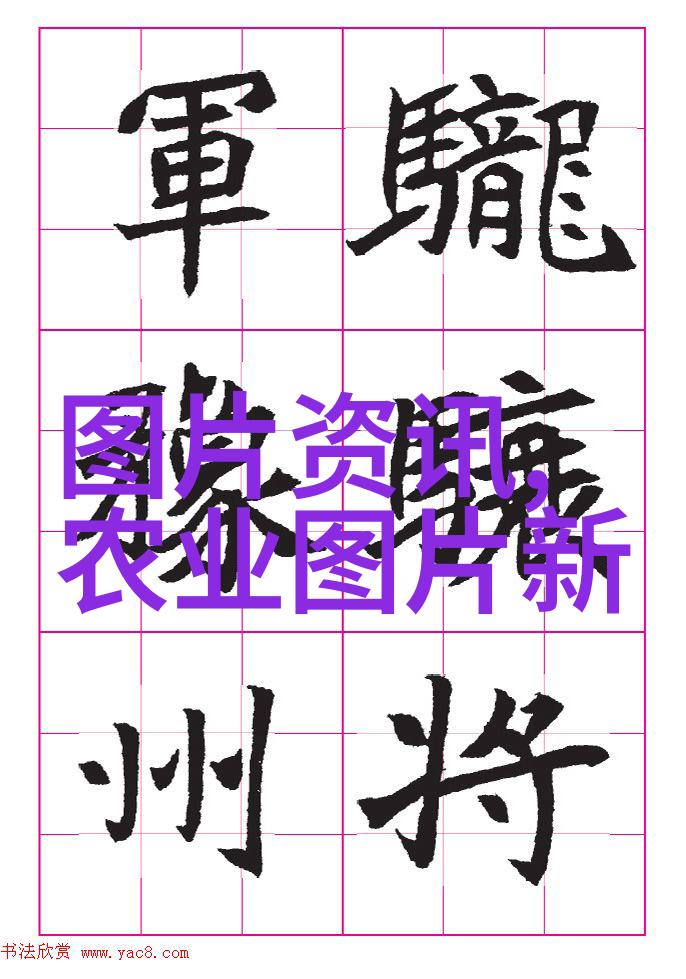 码垛机选择指南如何根据需求定制最合适的设备