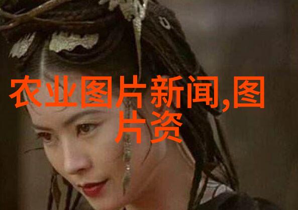有机肥料的选择与应用秘诀助力花卉生长发育