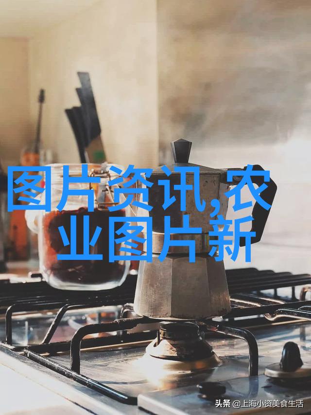 蜜蜂王国的生存之谜300只小兵能养活一位伟大的领袖吗