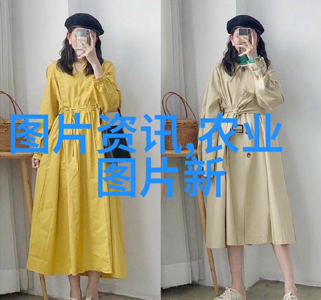 蜂舞诗篇探秘0k养蜂论坛的甜蜜世界