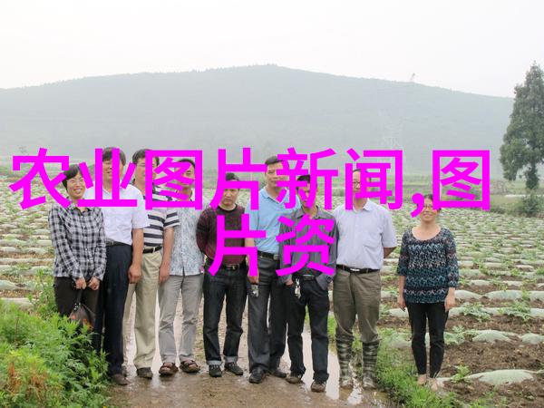 野生之冠探寻马齿苋的秘密世界