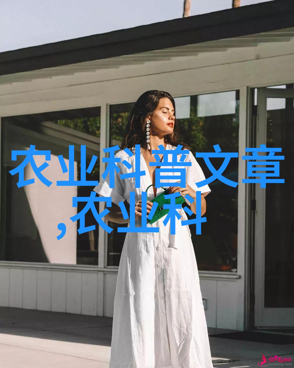 水果和种子图片大全-丰富多彩的水果与种子的视觉盛宴一览千般美味