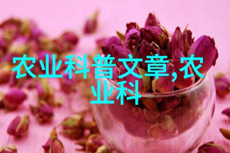 玉米秸秆收割机高效农业机械的新时代