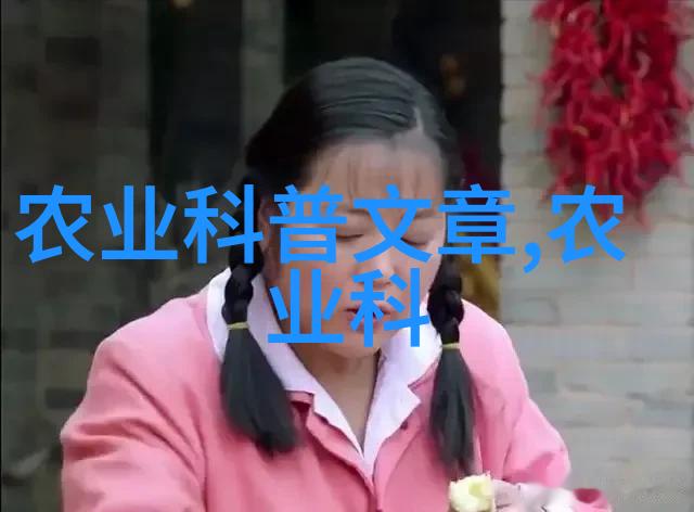江北女匪边疆的火炬与光芒