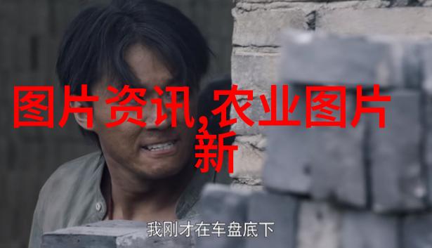 茶品鉴乐品乐茶与八马哪个更上乘