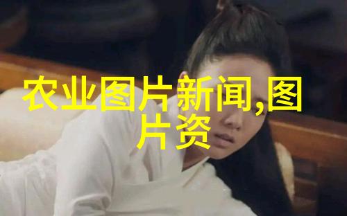 绿意盎然的室内植物盆景创意布局与养护技巧