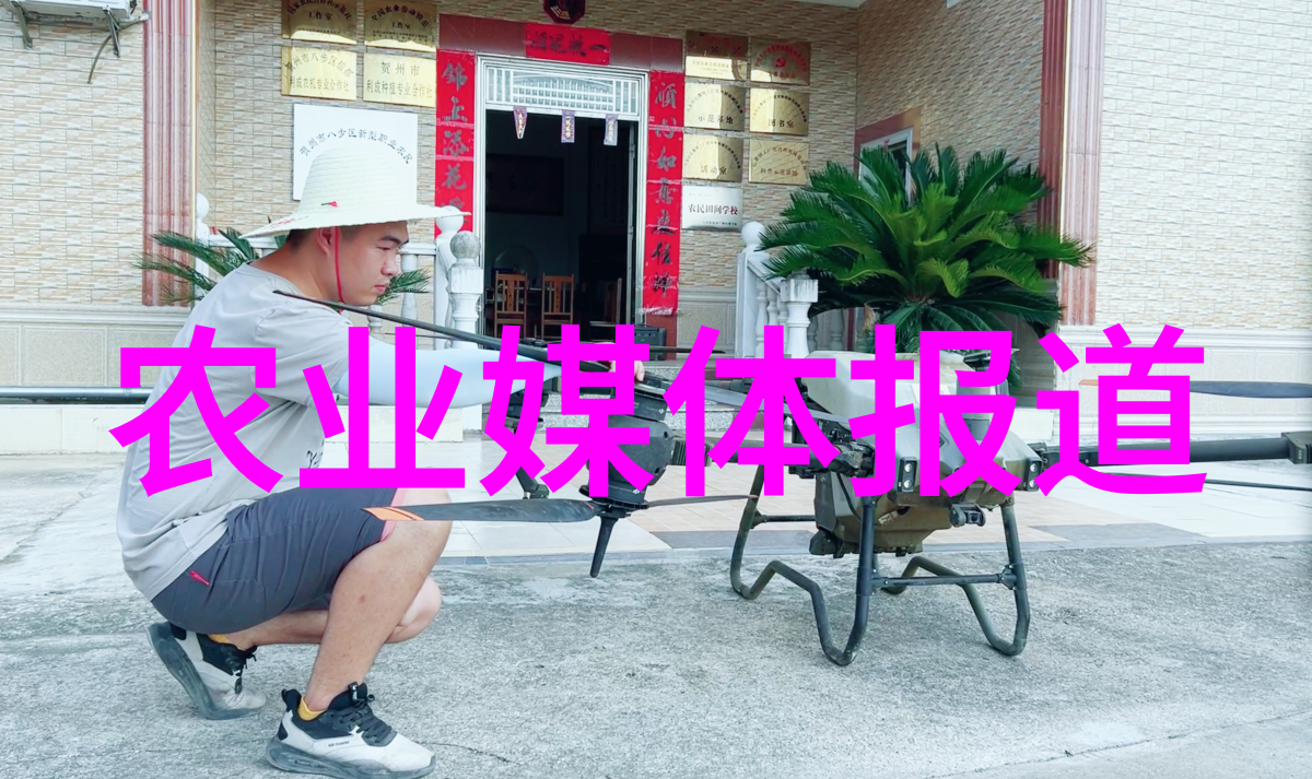 兔子养殖技术亲自教你如何把家里的兔子变成金蛋的摇钱树