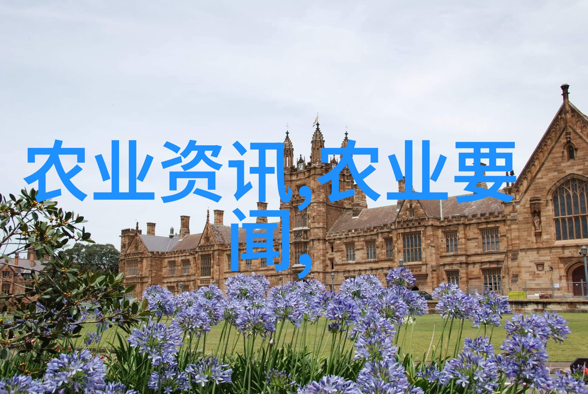 茶叶的十大保健功效绿茶抗氧化乌龙茶减肥黄芪茶增强免疫等