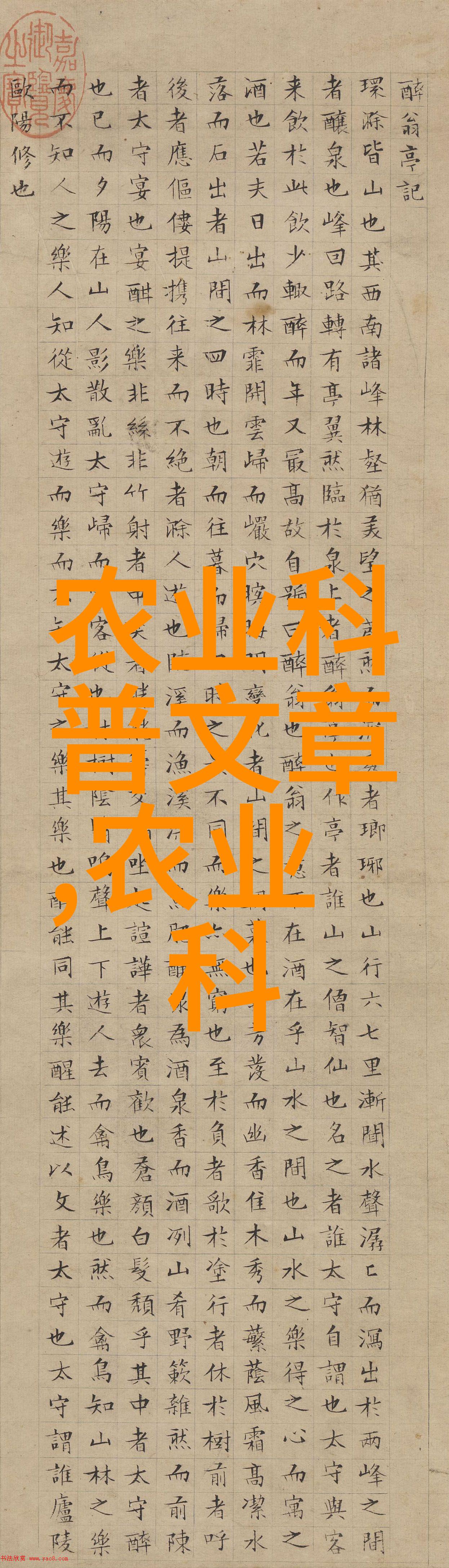 跨时空通道未来的传送门之谜