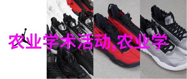 探索生态友好的种植方式展示可持续发展的小農務工具图库
