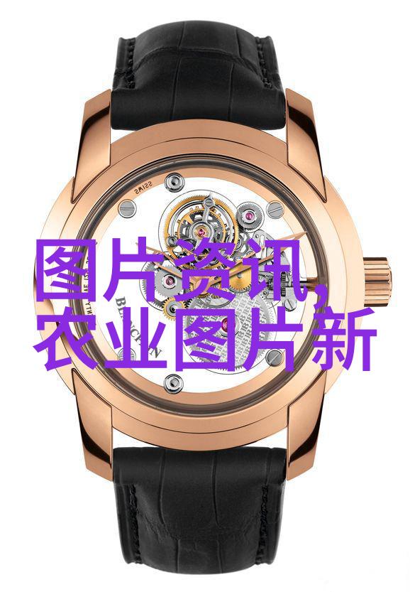 从田间到市集揭秘花卉市场批发背后的故事