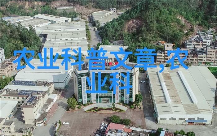 金线莲种植成本分析一斤的花钱有多重