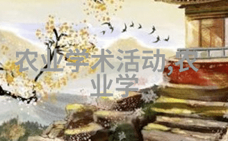 谁秘密操控着银杏节的阴谋