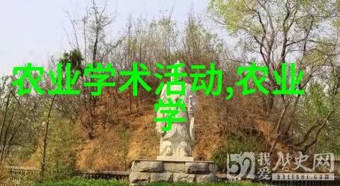 中草药种植项目我来告诉你一个让钱滚滚进账的好主意