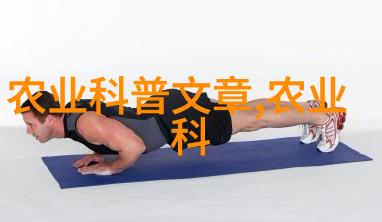 物料提升技术的进步与未来发展前景