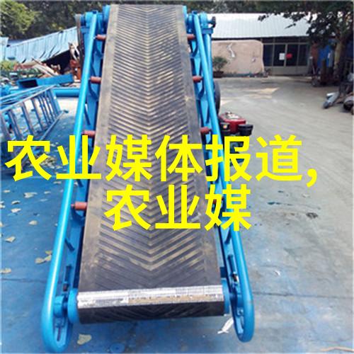技术风潮中的宠儿哪些行业让技能高薪飞扬