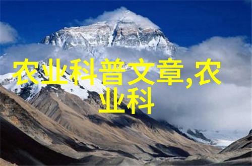 皮带输送机工业物料运输的灵魂之心