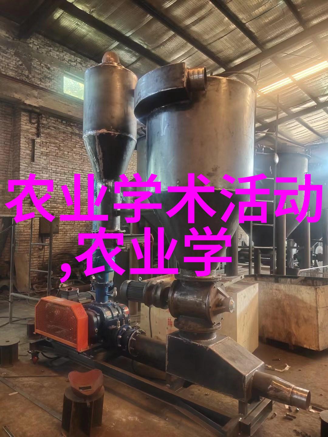 天价药材一斤四宝的珍贵