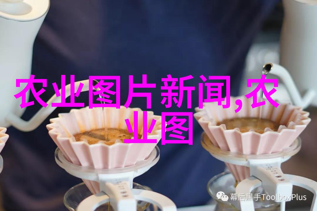 农业养殖技巧-土鸡养殖全程视频指南从饲料配方到市场销售