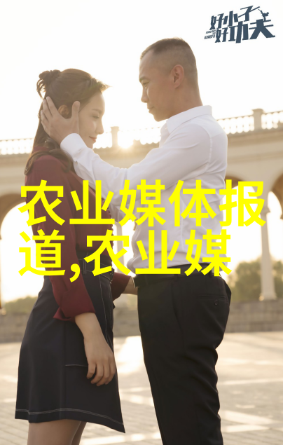 欧洲美食风情西洋菜的精致享受