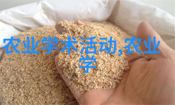 探索任讷冰岛北部的奇迹与秘密