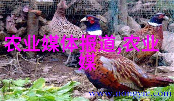 如果我已经种植了茶花树在家中摆放它会不会影响我的幸福感和生活质量