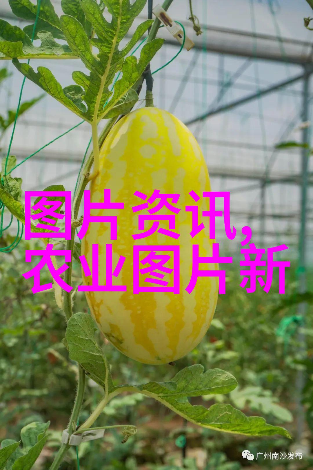 师德师风的光芒铸就教育盛世的十个不容忽视的准则