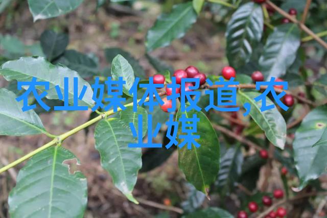 茶文化的哲学内涵与实践探究从道家智慧到现代生活的融合