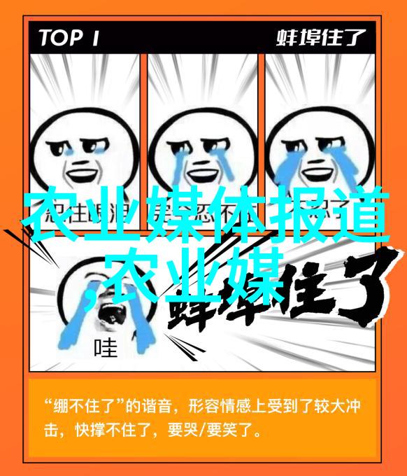 提升养殖效率深入浅出的泥鳅养殖技术培训实操指南