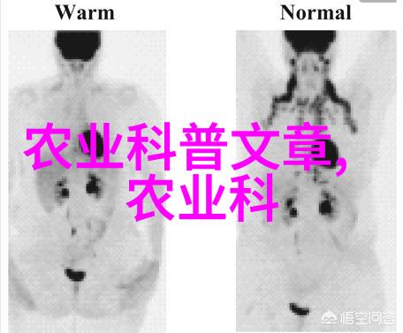 无人机在农业监测和管理中的作用是什么