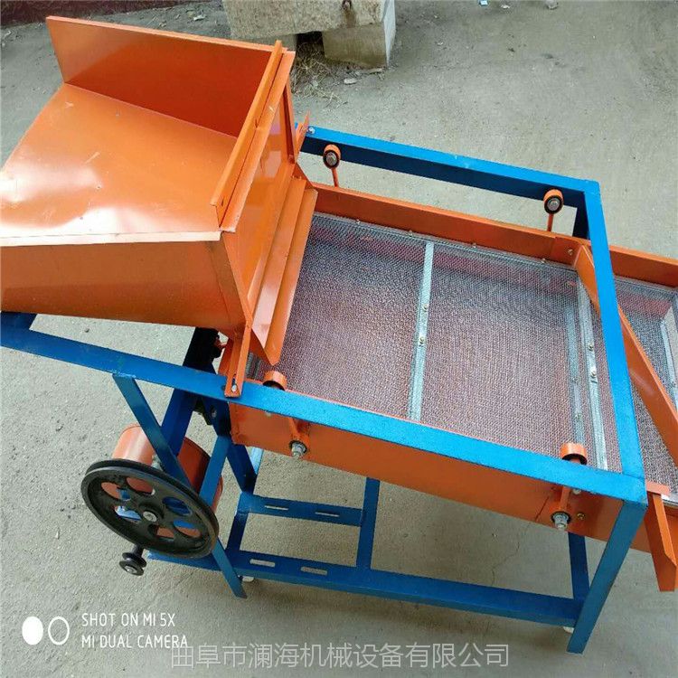牛羊科学饲养方法-优化牧场效率从基因选择到精准营养管理