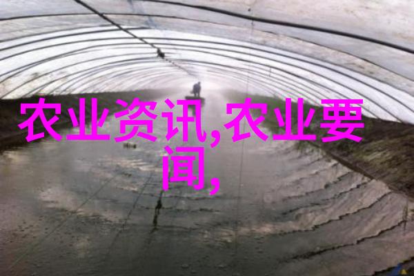 剖析小尺寸多边形红叶的经济价值与定价策略