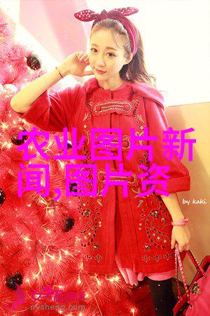 家庭客厅养什么花好亲测这些小巧可爱的室内植物让家里瞬间亮堂多了