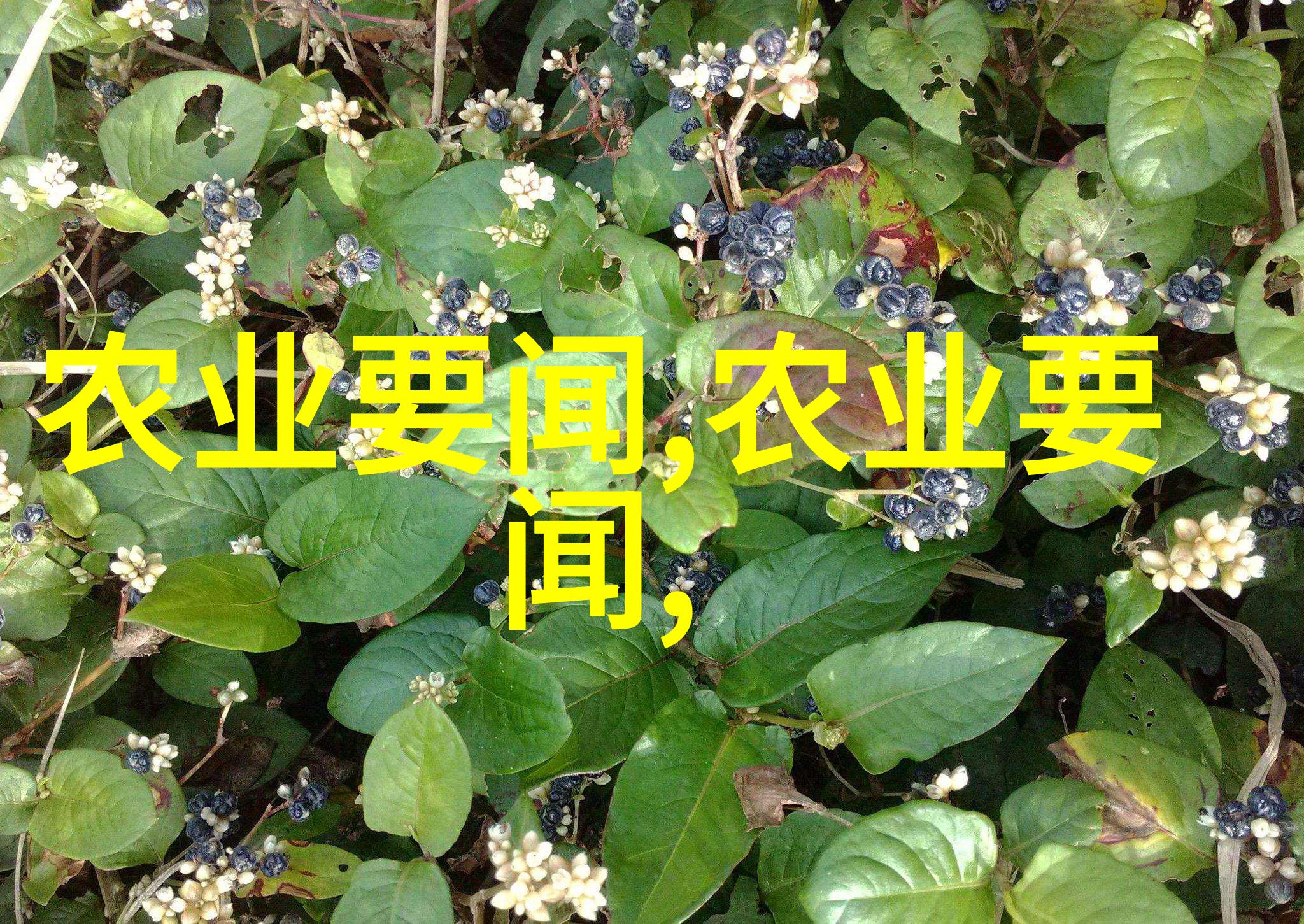 一边下奶一边享受面膜时刻双重放松体验