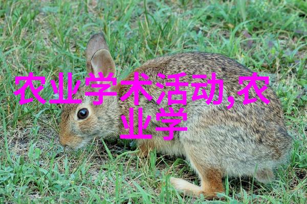 水果种子有哪些图片我来给你看看这些小可爱