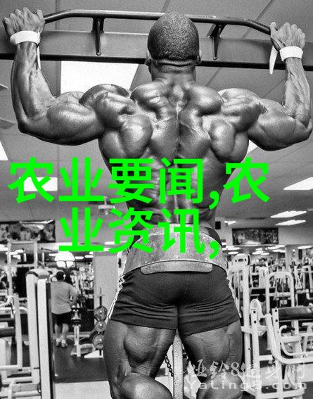 庭院美化苗木种类选择适合的植物增添庭院魅力