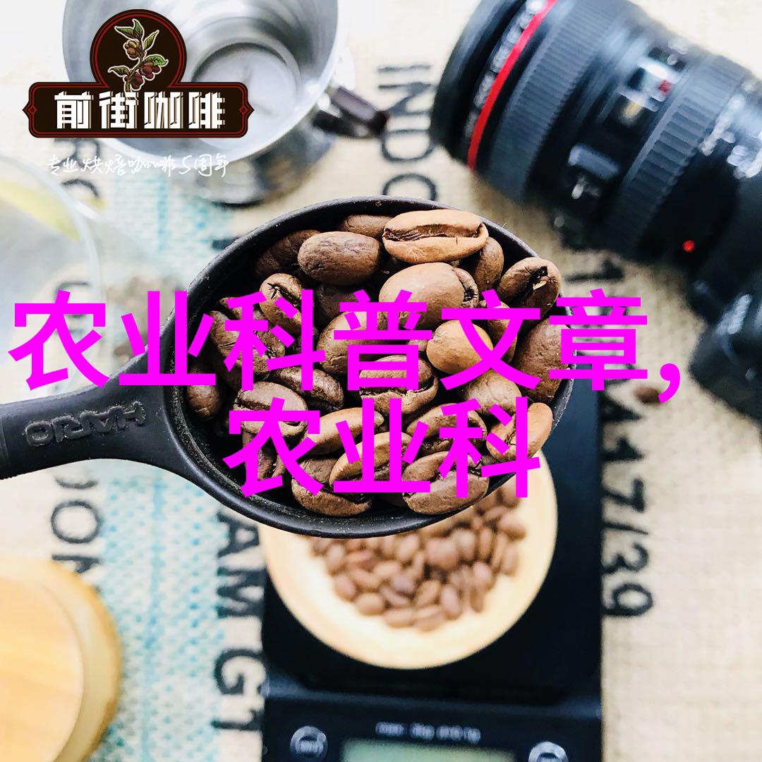 种植香菇大棚一亩投资多少钱 - 香菇梦想一亩大棚的生意成本揭秘