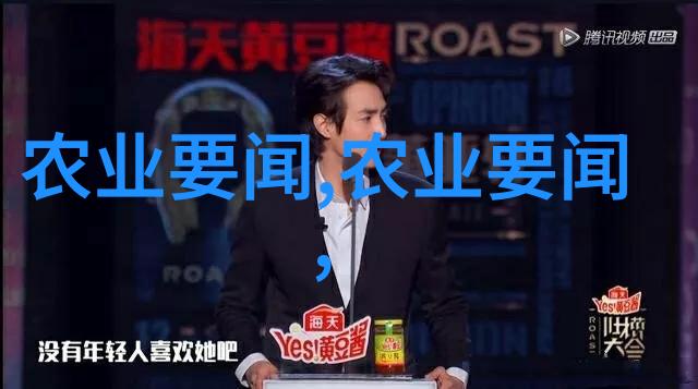 茶道的内涵我是如何在一壶好茶中找回宁静的