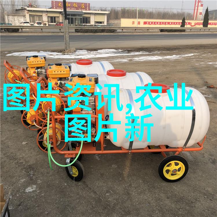 小77最新网址探秘网络世界中的隐秘宝藏
